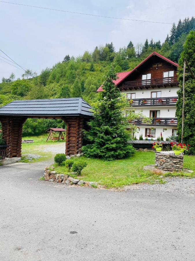 Pensiunea Pietrosul Борша Экстерьер фото